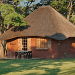 Indoor Plants for Tiny Houses: Enhance Your Space Naturally Capture 23